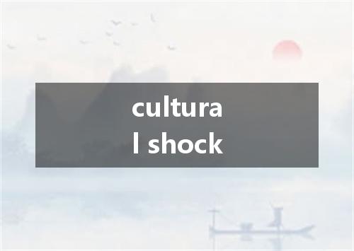 cultural shock是什么意思