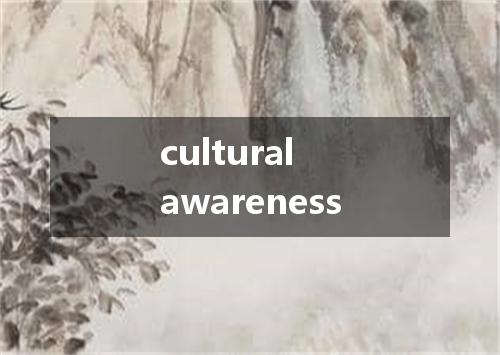 cultural awareness是什么意思