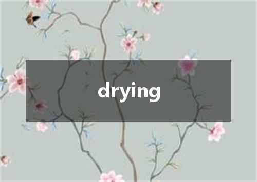 drying是什么意思