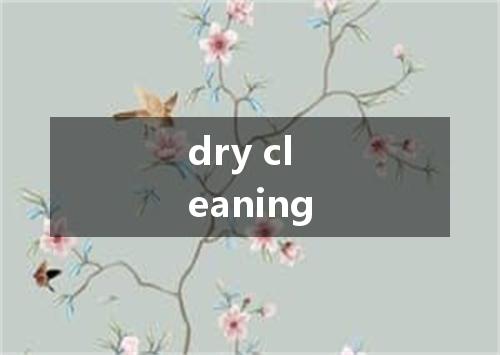 dry cleaning是什么意思