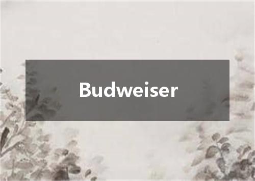 Budweiser是什么意思