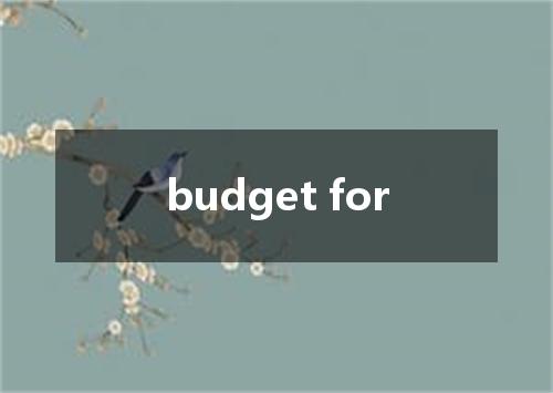 budget for是什么意思