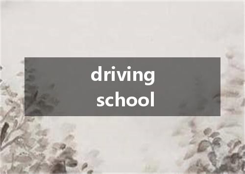 driving school是什么意思