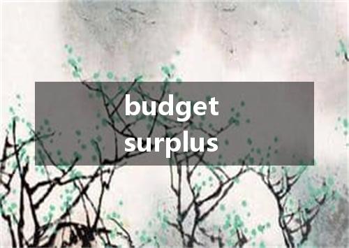budget surplus是什么意思