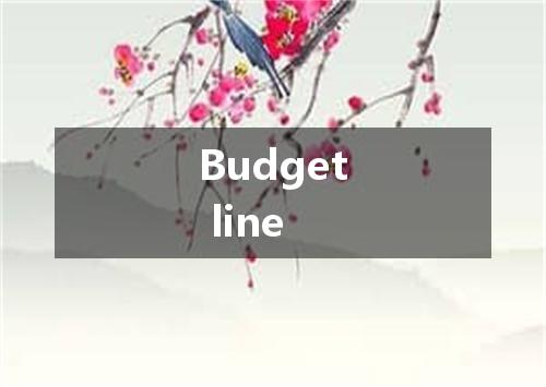 Budget line是什么意思