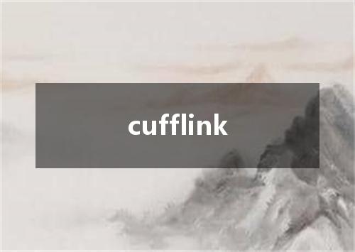 cufflink是什么意思