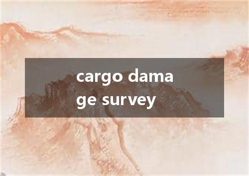 cargo damage survey是什么意思