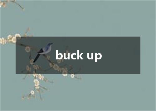 buck up是什么意思
