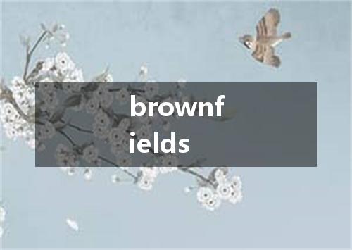 brownfields是什么意思