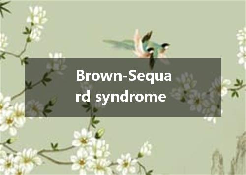 Brown-Sequard syndrome是什么意思