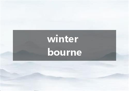 winterbourne是什么意思