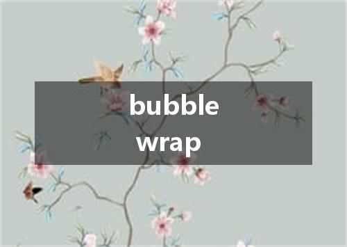 bubble wrap是什么意思