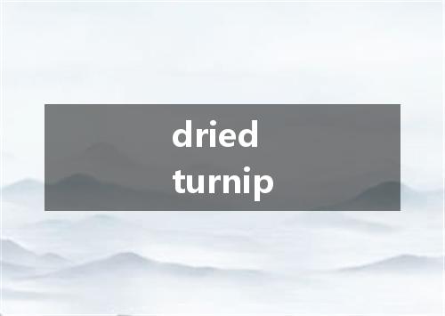 dried turnip是什么意思