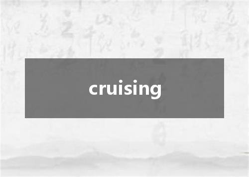 cruising是什么意思