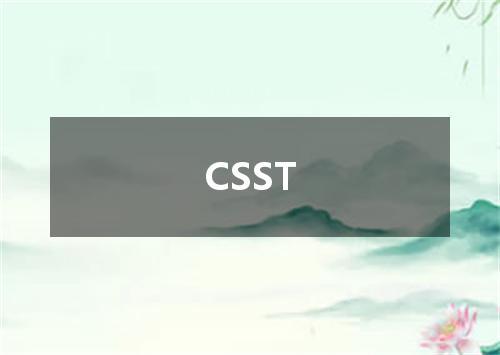 CSST是什么意思