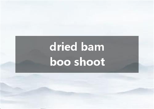 dried bamboo shoot是什么意思