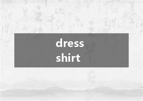 dress shirt是什么意思