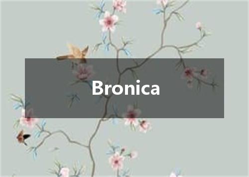 Bronica是什么意思