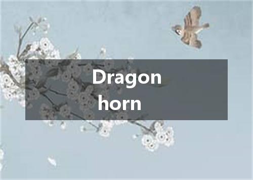 Dragon horn是什么意思