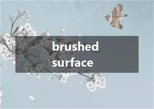 brushed surface是什么意思