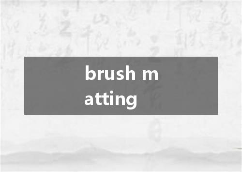 brush matting是什么意思