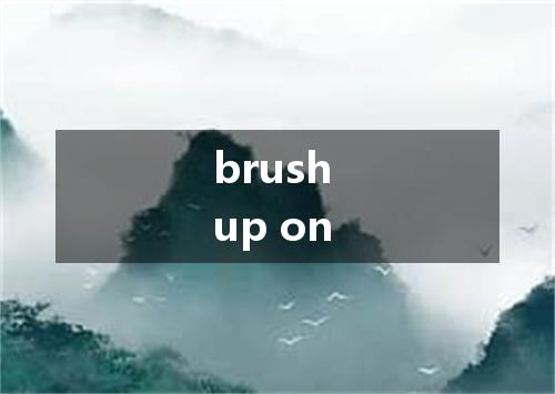 brush up on是什么意思