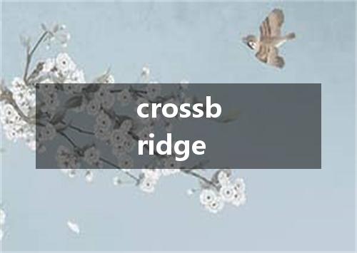 crossbridge是什么意思