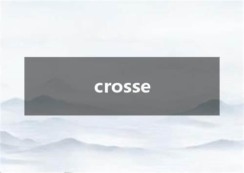 crosse是什么意思