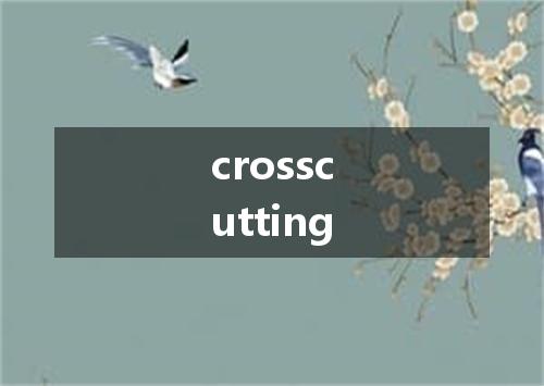 crosscutting是什么意思