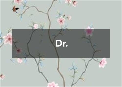 Dr.是什么意思