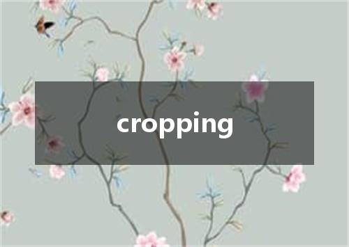 cropping是什么意思
