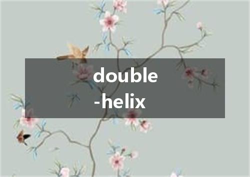 double-helix是什么意思