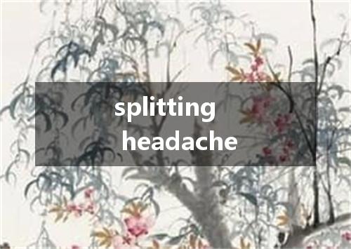 splitting headache是什么意思