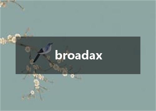 broadax是什么意思