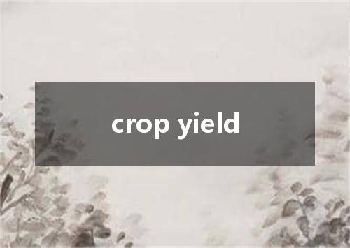 crop yield是什么意思