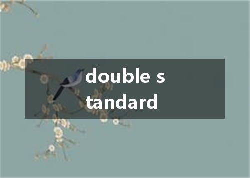 double standard是什么意思