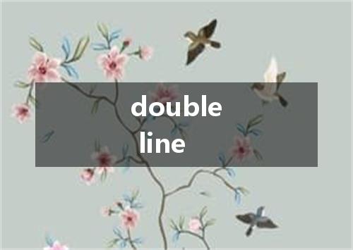 double line是什么意思