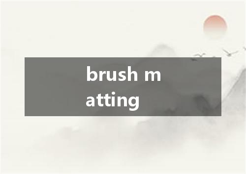 brush matting是什么意思