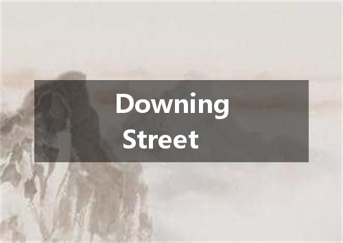 Downing Street是什么意思