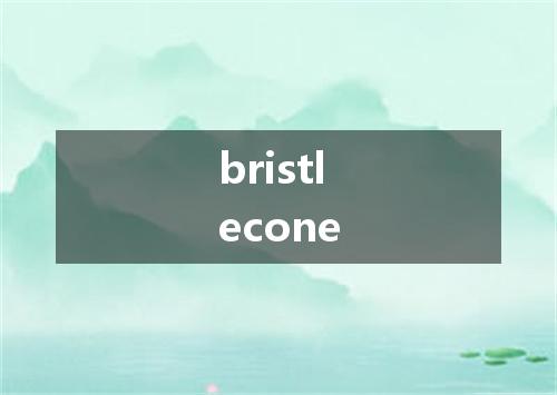 bristlecone是什么意思