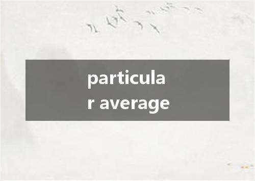 particular average是什么意思