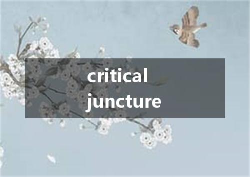 critical juncture是什么意思