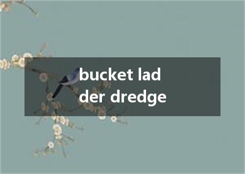 bucket ladder dredge是什么意思