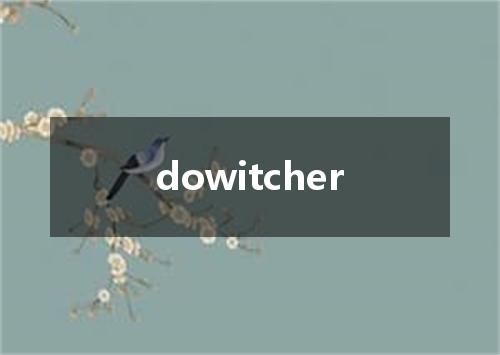 dowitcher是什么意思