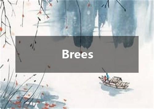 Brees是什么意思