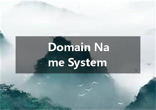 Domain Name System是什么意思