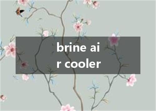 brine air cooler是什么意思