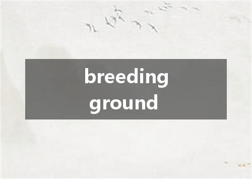 breeding ground是什么意思