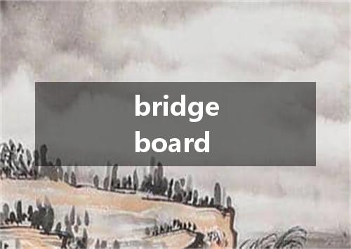 bridgeboard是什么意思