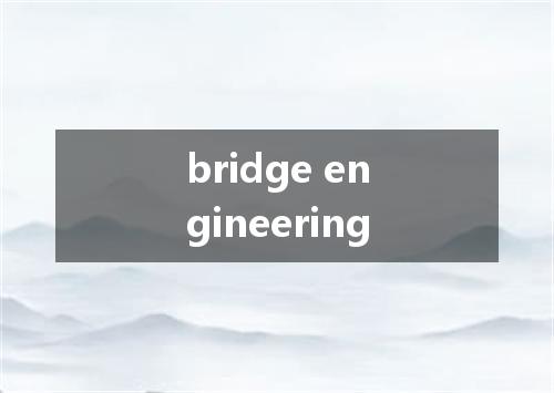 bridge engineering是什么意思